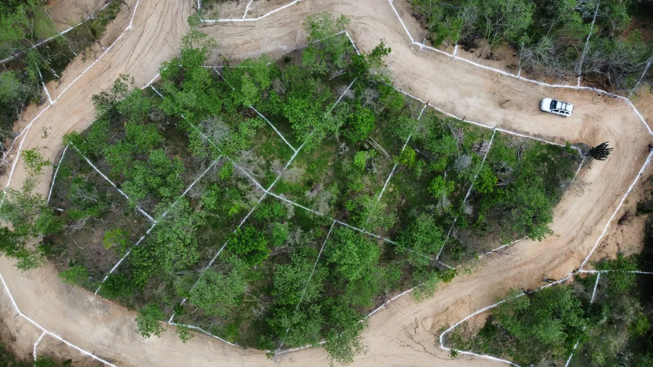 San Antonio Tonameca.