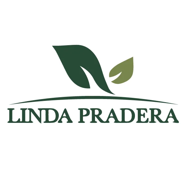 Logo Fraccionamiento Linda Pradera