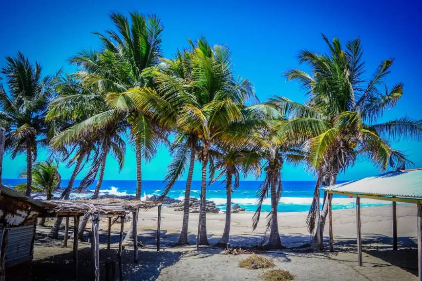 Fraccionamiento Tortugas Marinas