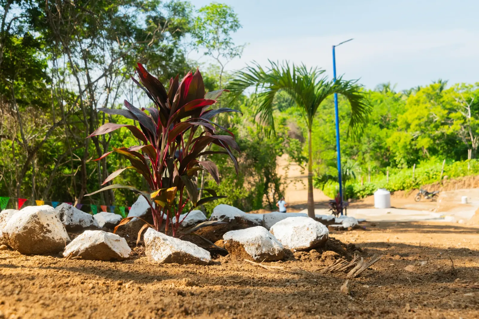 Punta Coral Residencial