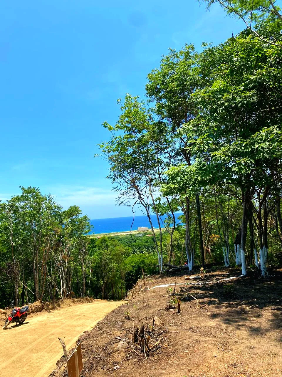 Punta Coral Residencial