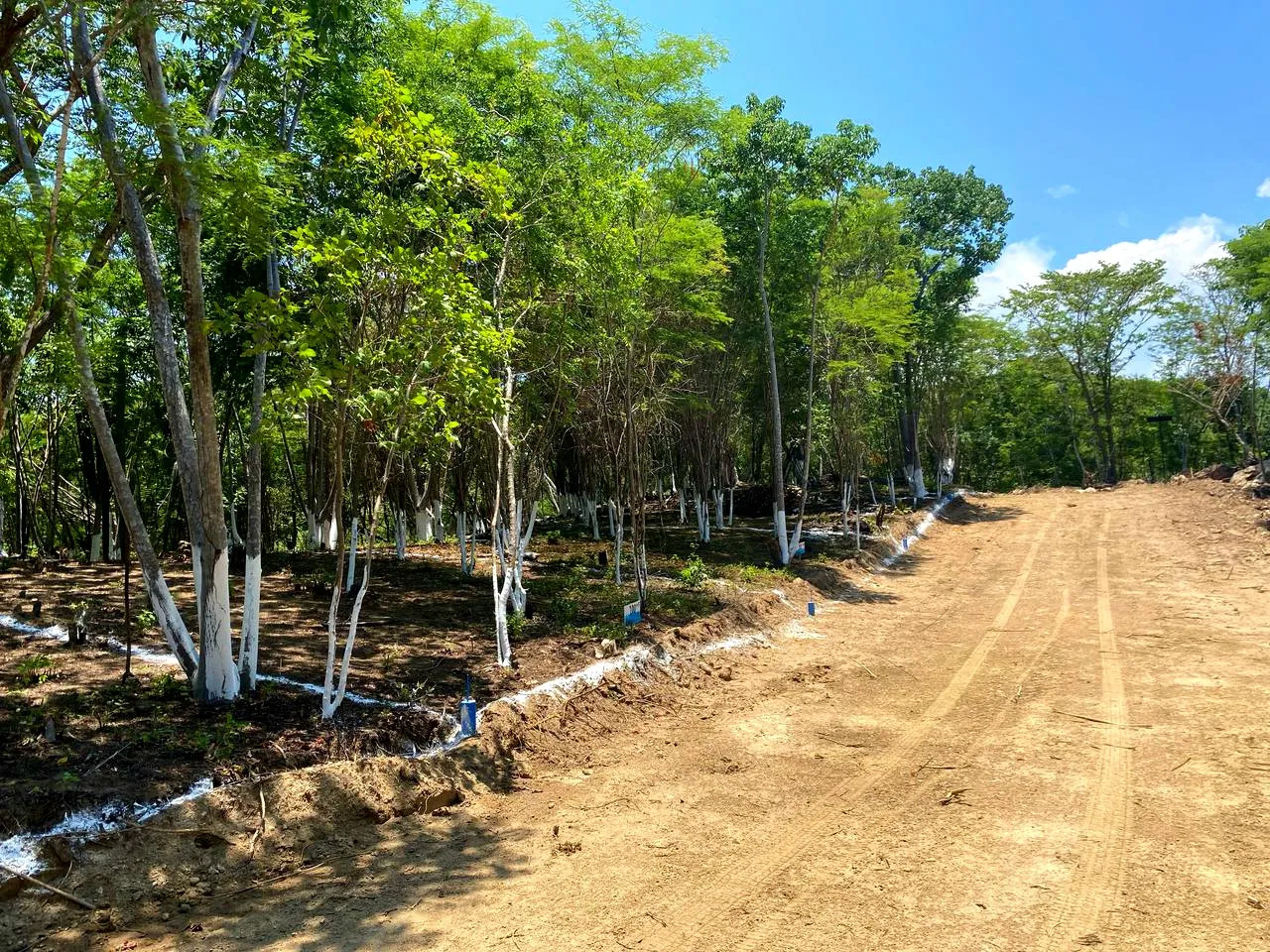 Punta Coral Residencial
