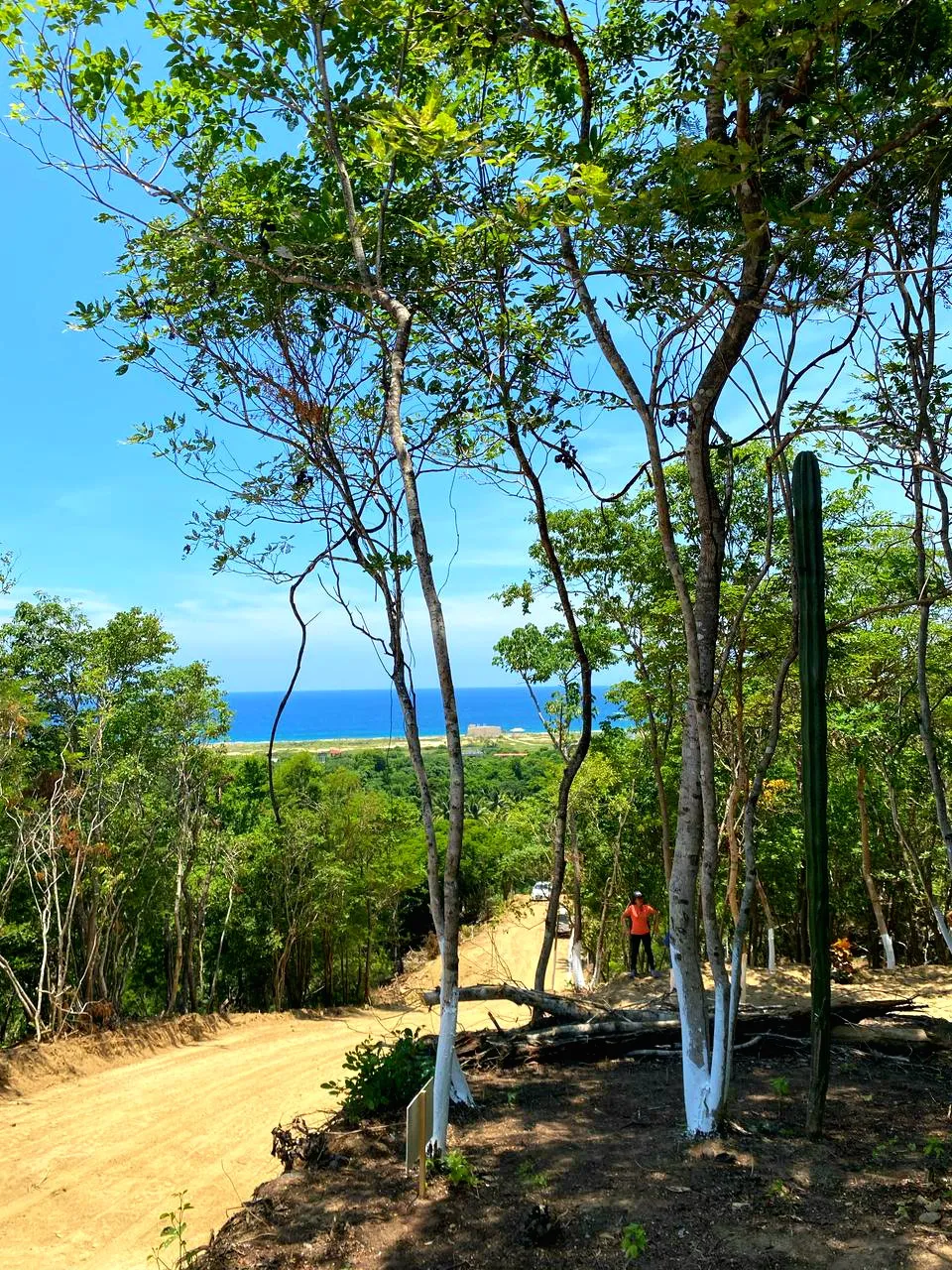 Punta Coral Residencial