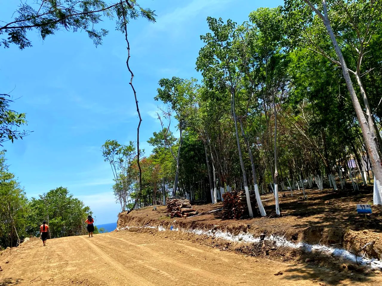 Punta Coral Residencial