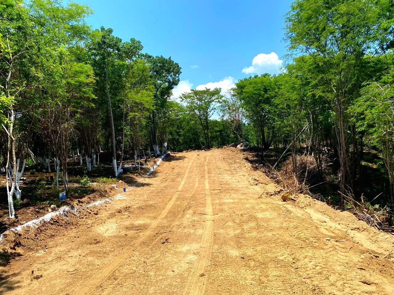 Punta Coral Residencial