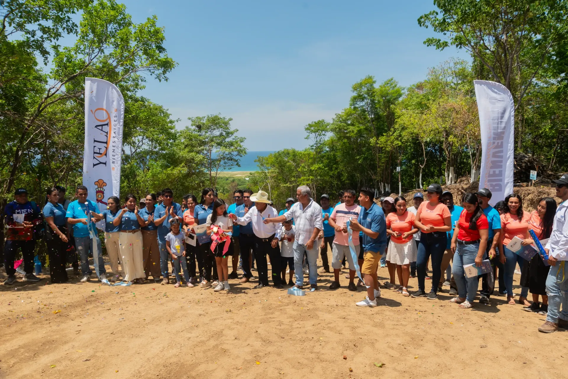 Nuestros desarrollos